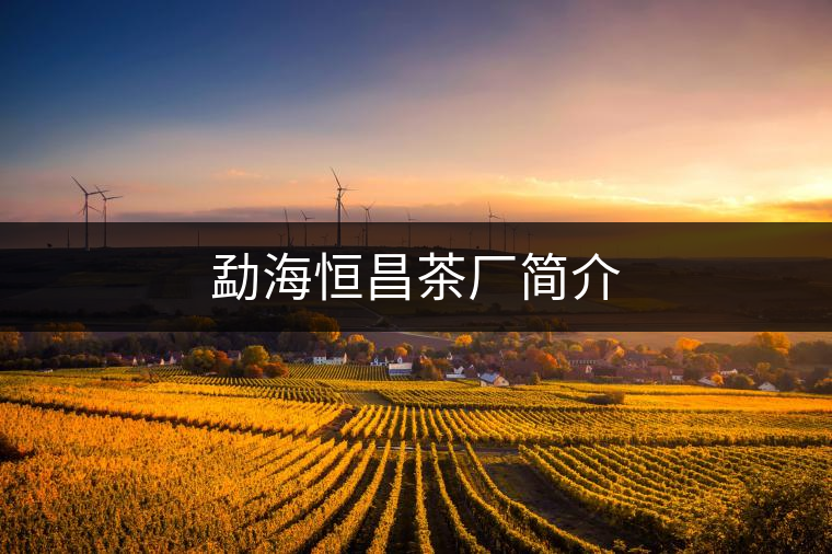 勐海恒昌茶廠簡(jiǎn)介 勐海恒昌茶廠簡(jiǎn)介