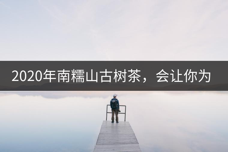 2020年南糯山古樹茶，會讓你為之著迷-易武中聘號