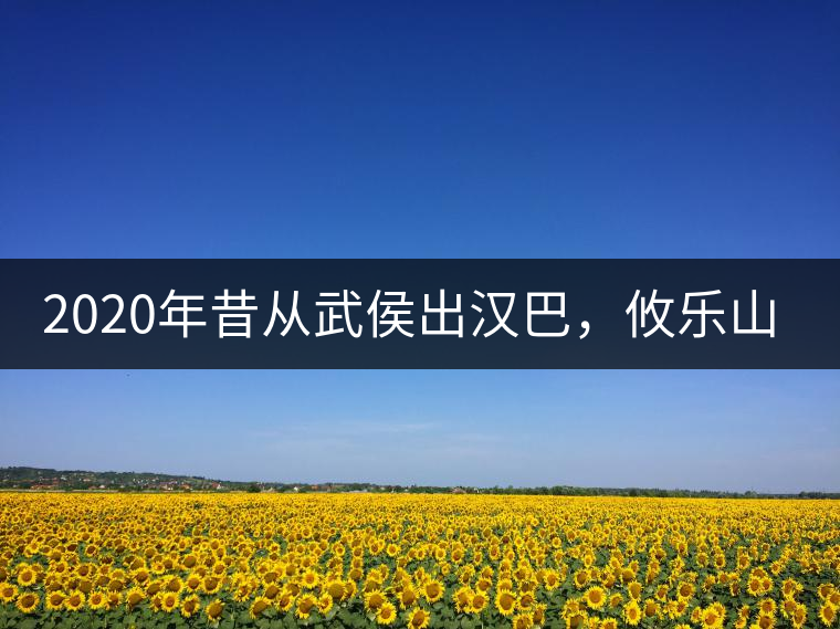 2020年昔從武侯出漢巴，攸樂山中只種茶。-易武中聘號(hào)