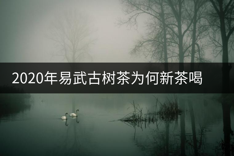 2020年易武古樹茶為何新茶喝時淡卻越放越濃？-易武中聘號