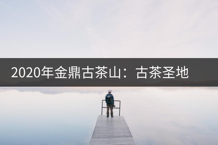 2020年金鼎古茶山：古茶圣地 探險(xiǎn)樂(lè)園-易武中聘號(hào)