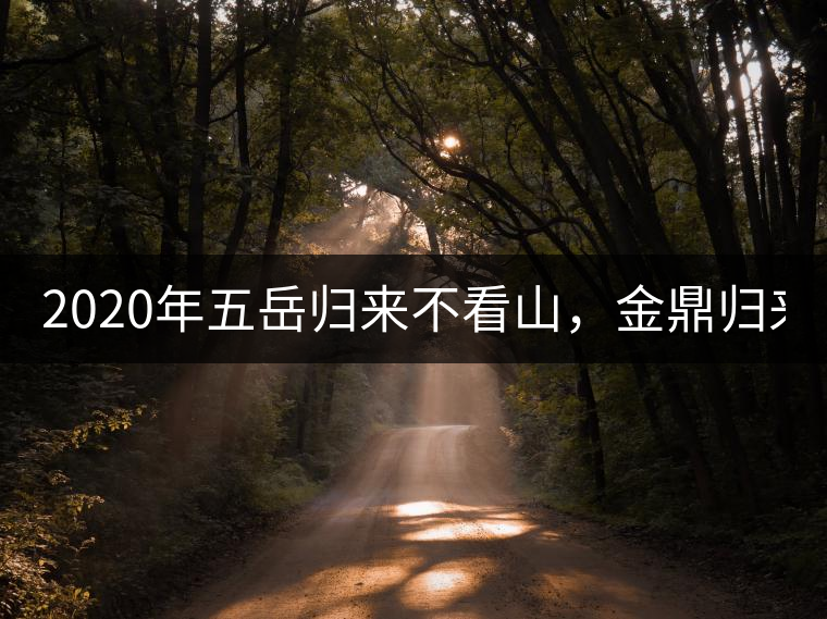 2020年五岳歸來不看山，金鼎歸來不看茶   -易武中聘號