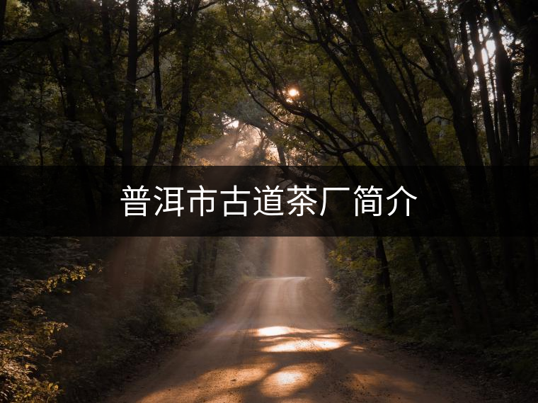 普洱市古道茶廠簡介