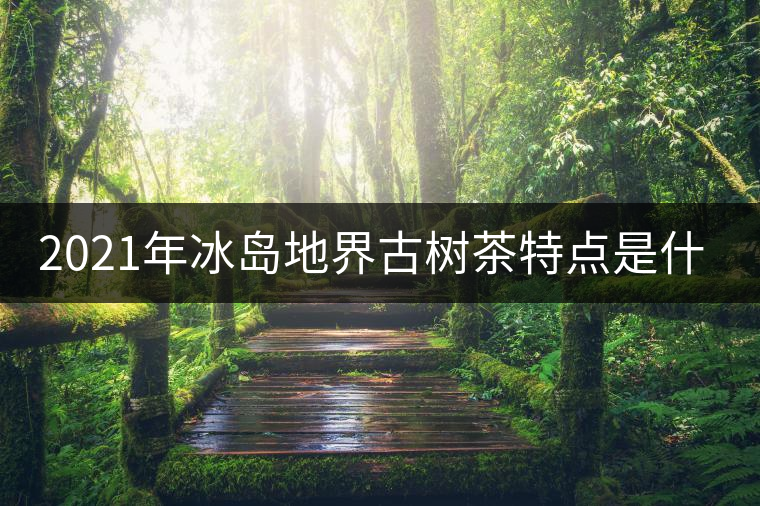 2021年冰島地界古樹茶特點(diǎn)是什么？