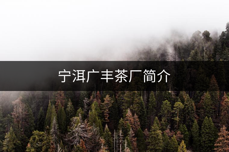 寧洱廣豐茶廠簡(jiǎn)介 寧洱廣豐茶廠簡(jiǎn)介