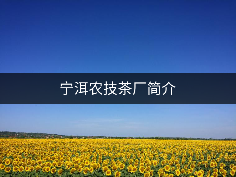 寧洱農(nóng)技茶廠簡(jiǎn)介 寧洱農(nóng)技茶廠簡(jiǎn)介