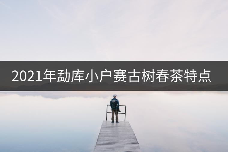 2021年勐庫(kù)小戶賽古樹(shù)春茶特點(diǎn)？