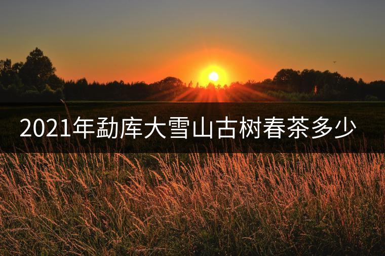 2021年勐庫大雪山古樹春茶多少錢一公斤？