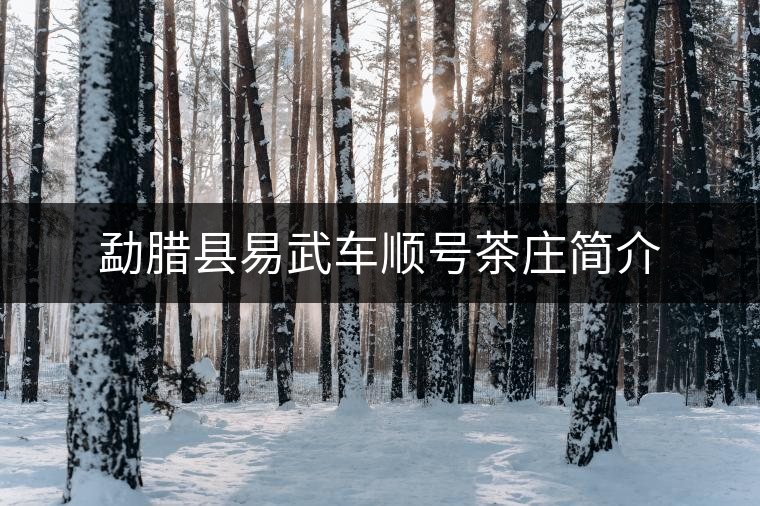 勐臘縣易武車(chē)順號(hào)茶莊簡(jiǎn)介