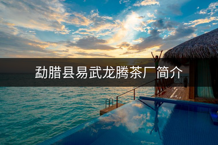 勐臘縣易武龍騰茶廠簡介