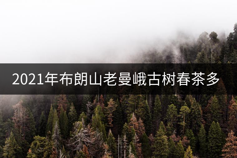 2021年布朗山老曼峨古樹春茶多少錢一公斤？