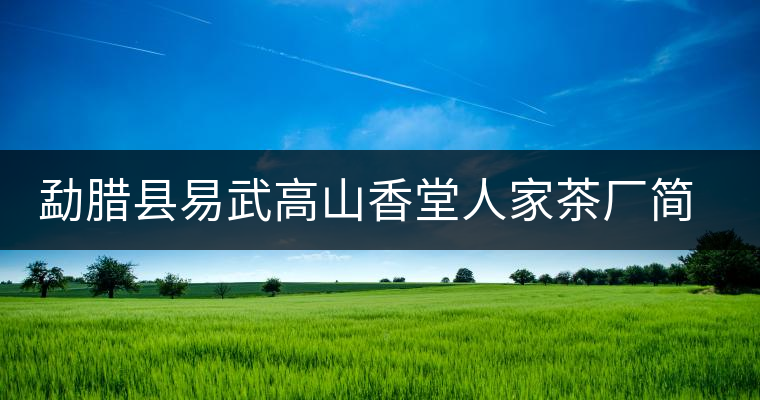 勐臘縣易武高山香堂人家茶廠簡(jiǎn)介