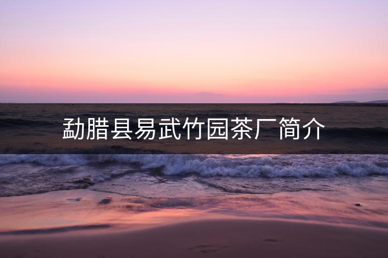 勐臘縣易武竹園茶廠簡(jiǎn)介