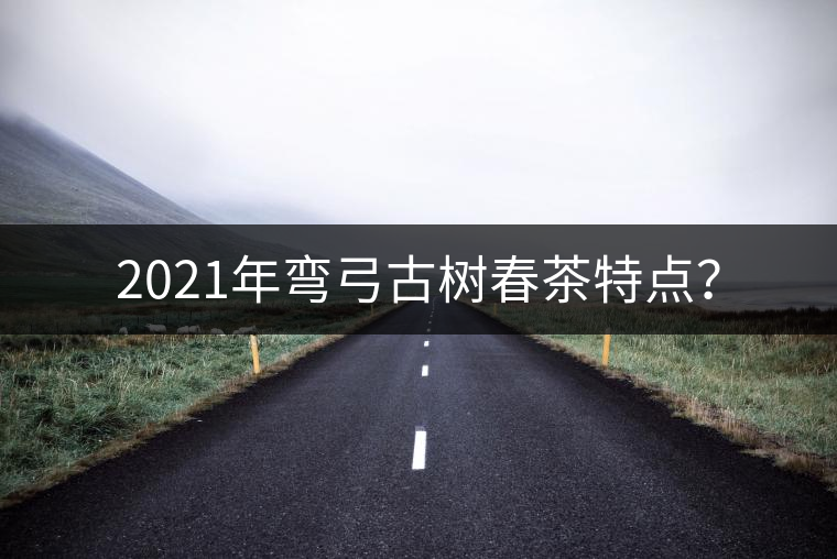 2021年彎弓古樹春茶特點？