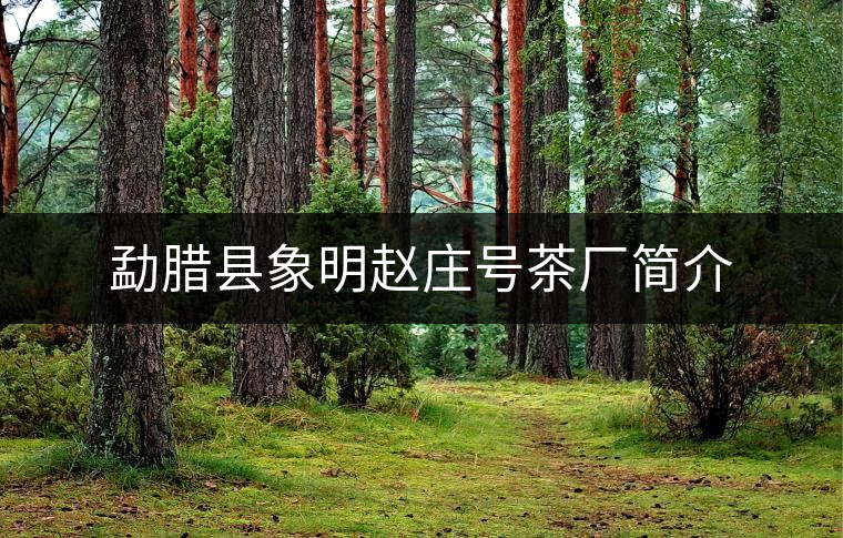 勐臘縣象明趙莊號茶廠簡介