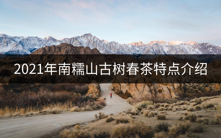 2021年南糯山古樹春茶特點介紹