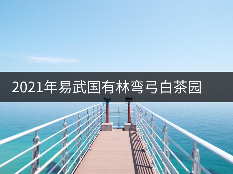 2021年易武國有林彎弓白茶園古樹春茶口感特點(diǎn)