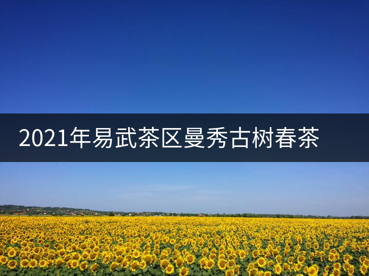 2021年易武茶區(qū)曼秀古樹(shù)春茶多少錢(qián)一公斤