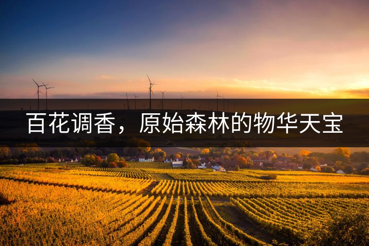 百花調(diào)香，原始森林的物華天寶