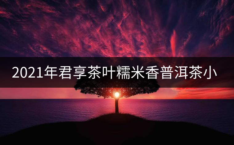 2021年君享茶葉糯米香普洱茶小沱茶餅口感好嗎？