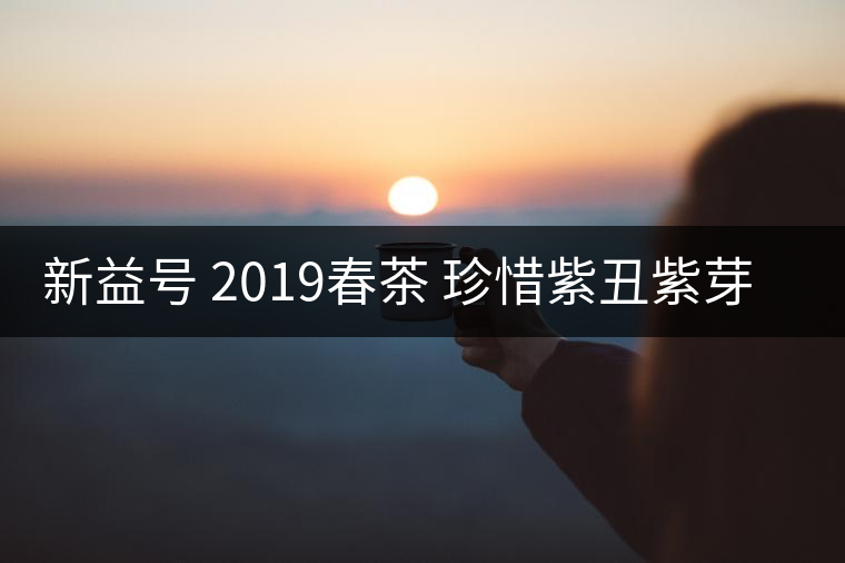 新益號 2019春茶 珍惜紫丑紫芽茶 是什么茶好喝嗎？