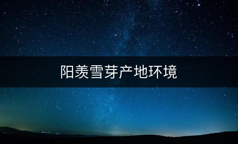 陽羨雪芽產(chǎn)地環(huán)境