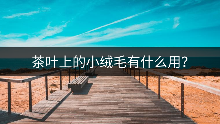 茶葉上的小絨毛有什么用？