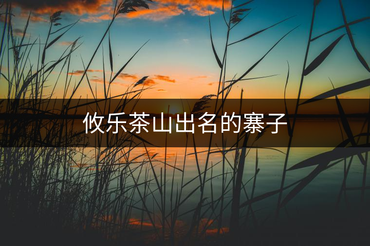 攸樂茶山出名的寨子