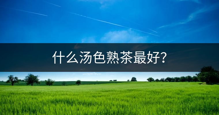 什么湯色熟茶最好？