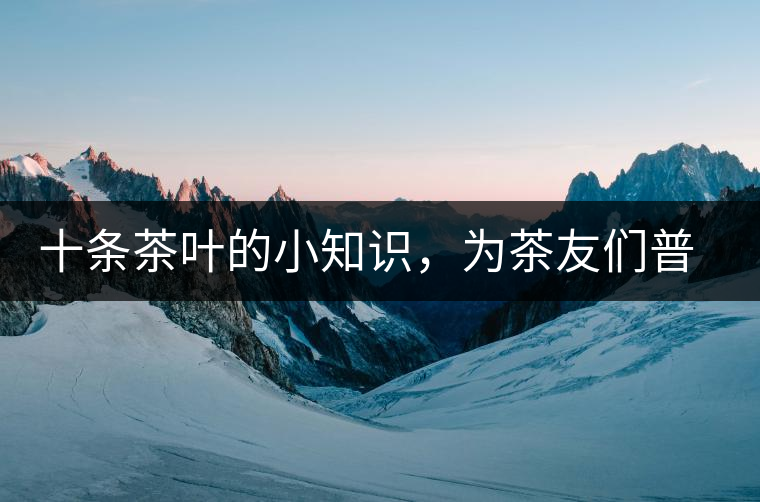 十條茶葉的小知識(shí)，為茶友們普及掃盲