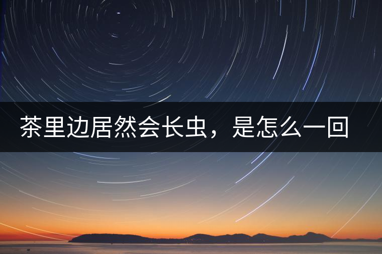 茶里邊居然會長蟲，是怎么一回事呢？