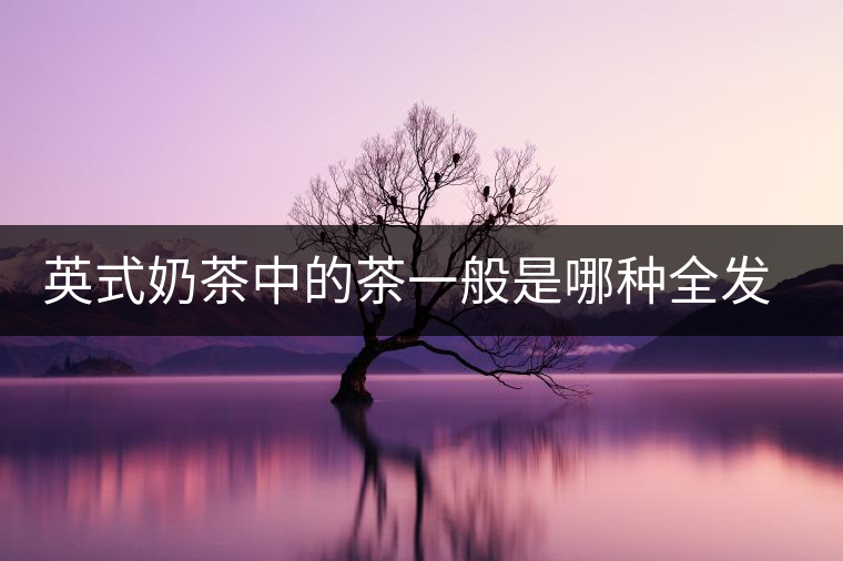 英式奶茶中的茶一般是哪種全發(fā)酵茶類
