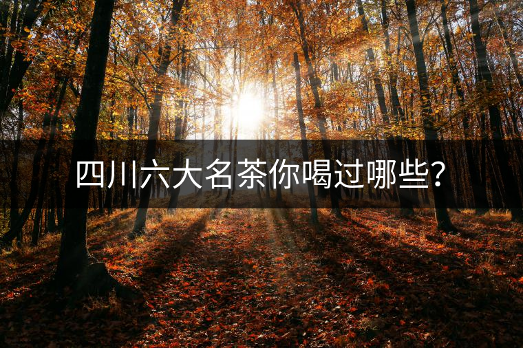 四川六大名茶你喝過哪些？