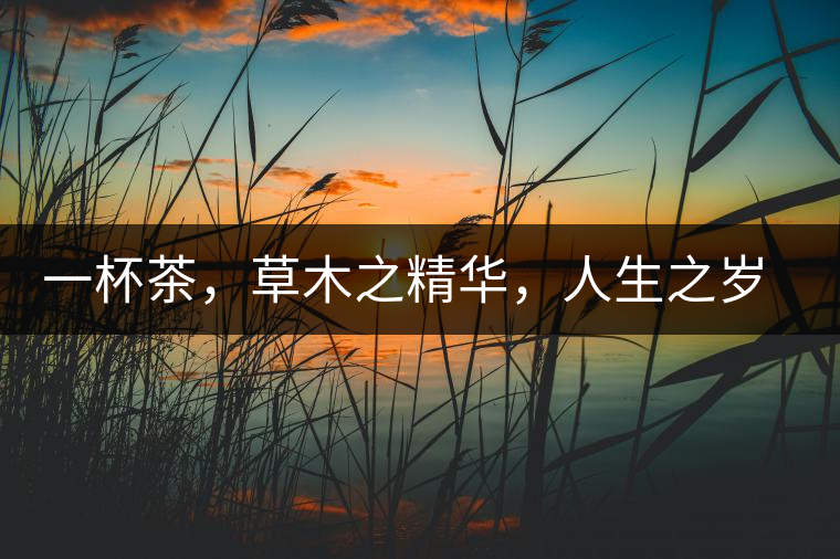 一杯茶，草木之精華，人生之歲月