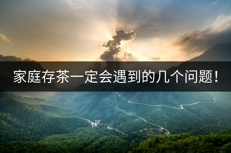 家庭存茶一定會遇到的幾個問題！