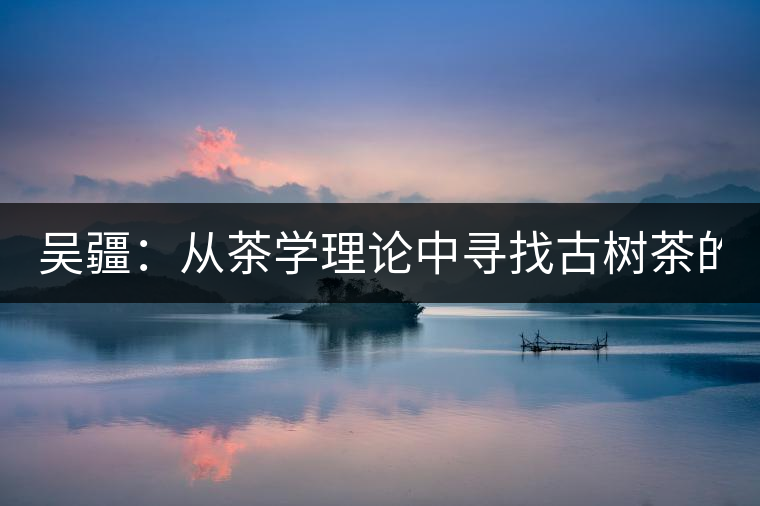 吳疆：從茶學(xué)理論中尋找古樹茶的鑒別方法？（讀書筆記3）
