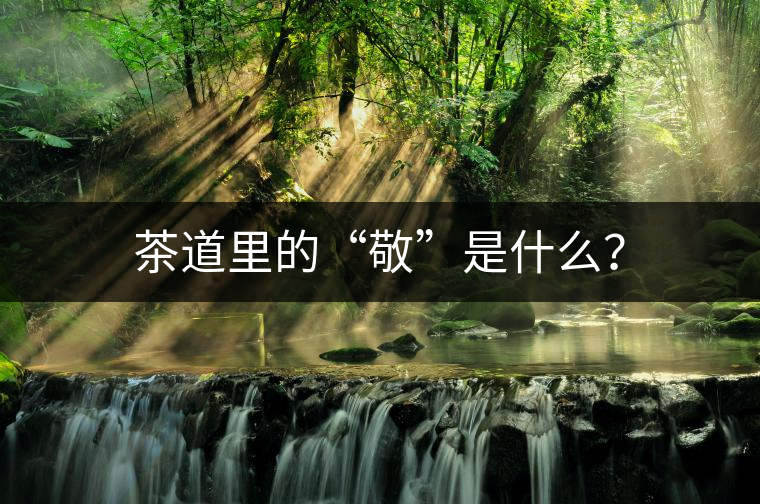 茶道里的“敬”是什么？