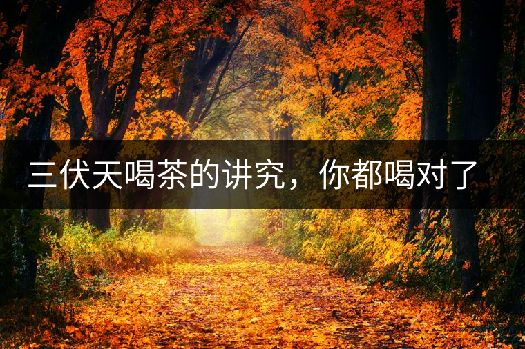 三伏天喝茶的講究，你都喝對了嗎？