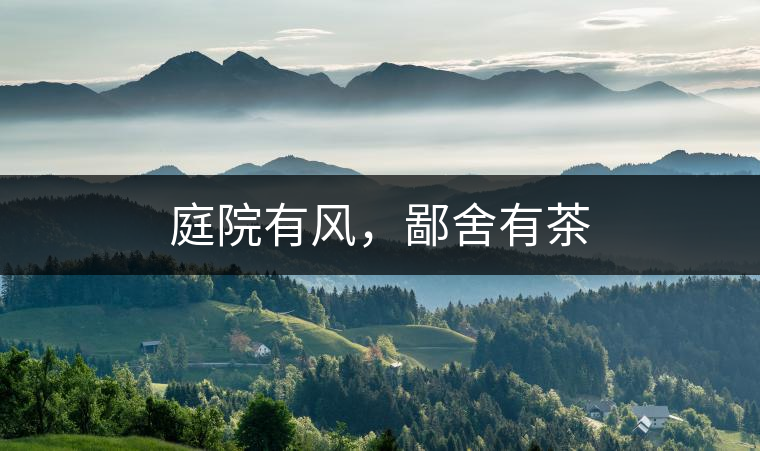 庭院有風(fēng)，鄙舍有茶
