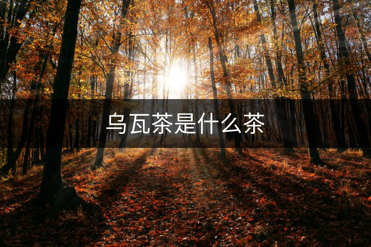 烏瓦茶是什么茶