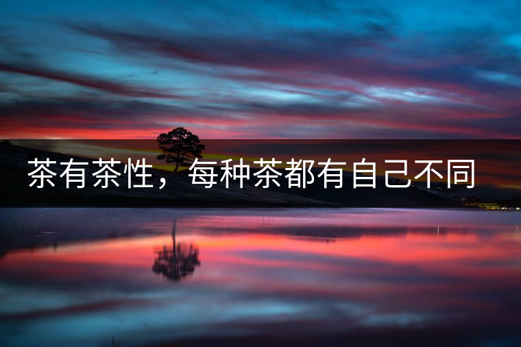 茶有茶性，每種茶都有自己不同的正確泡法