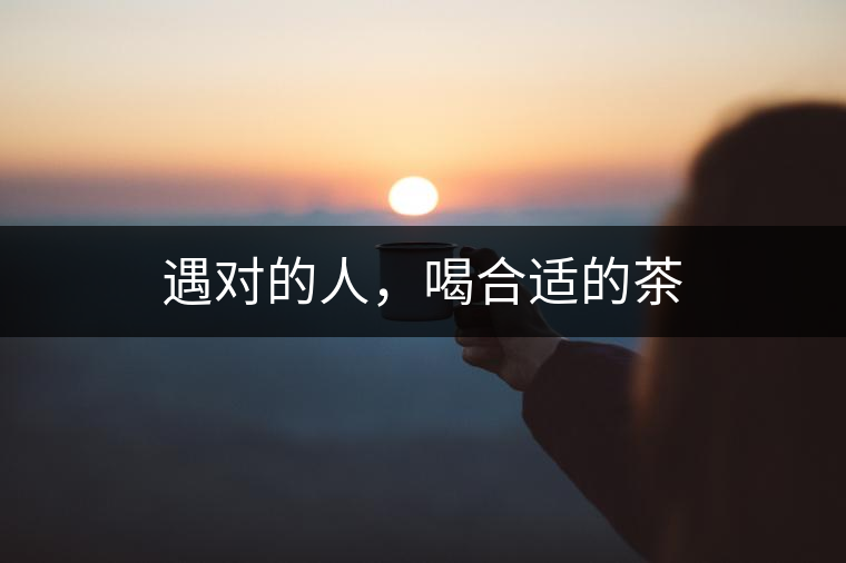 遇對的人，喝合適的茶