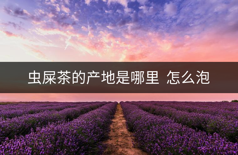 蟲(chóng)屎茶的產(chǎn)地是哪里  怎么泡
