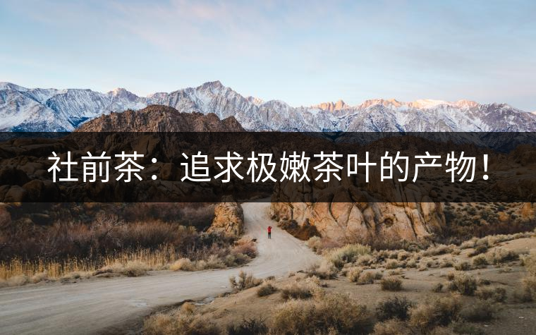 社前茶：追求極嫩茶葉的產(chǎn)物！