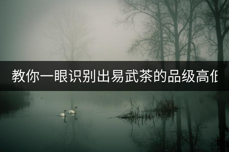 教你一眼識別出易武茶的品級高低！