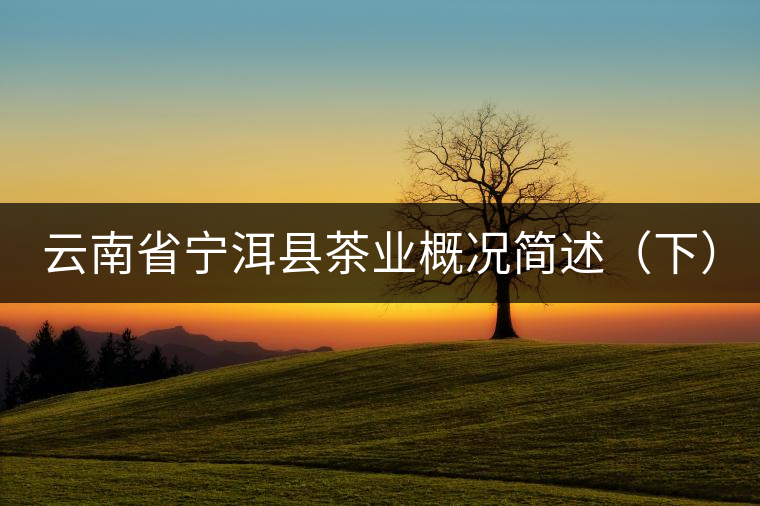 云南省寧洱縣茶業(yè)概況簡(jiǎn)述(下) 云南省寧洱縣茶業(yè)概況簡(jiǎn)述(下)