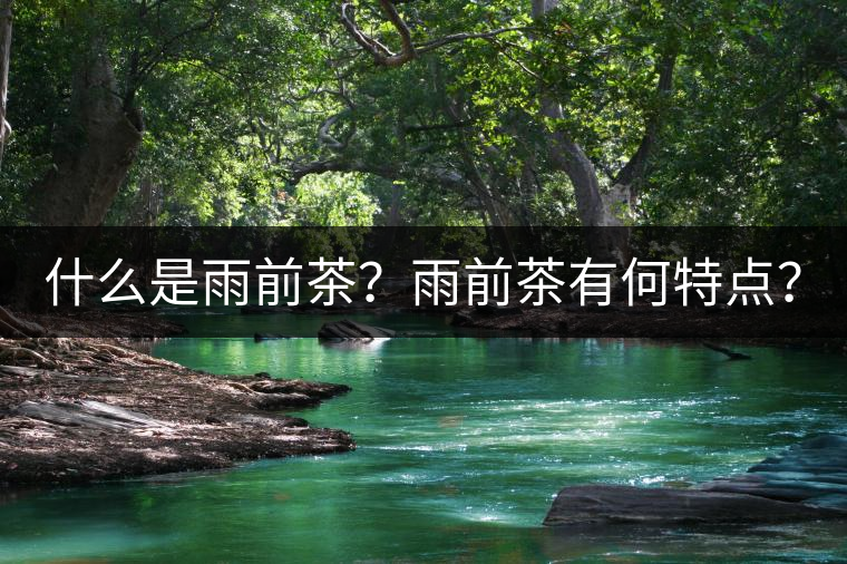 什么是雨前茶？雨前茶有何特點(diǎn)？