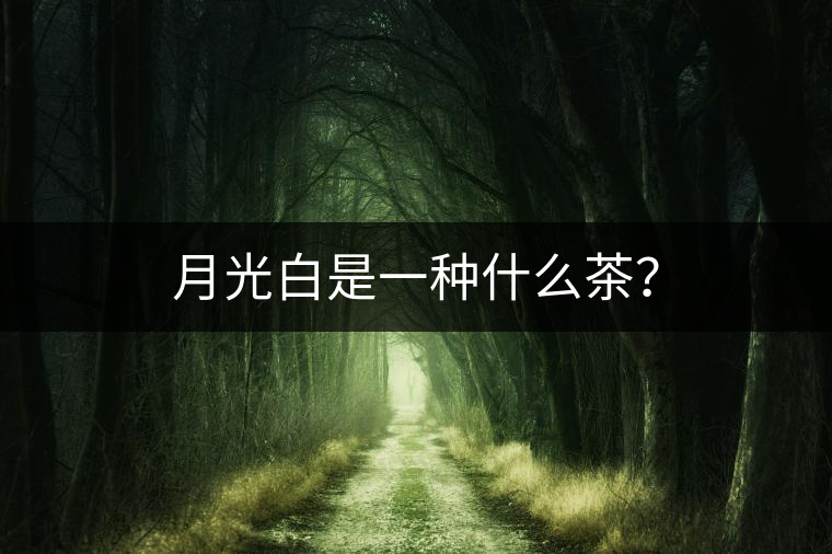 月光白是一種什么茶？