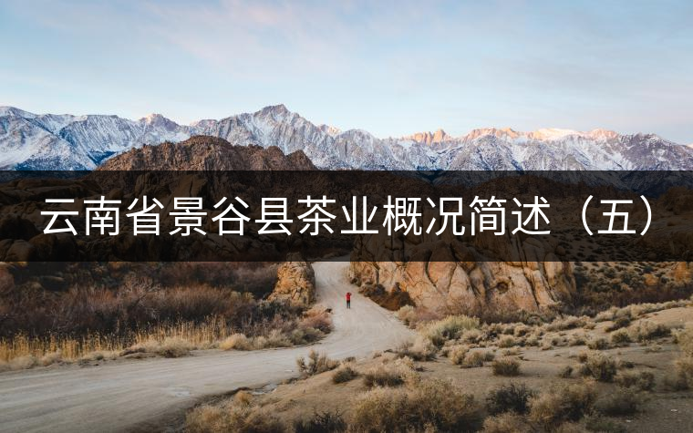 云南省景谷縣茶業(yè)概況簡(jiǎn)述（五）