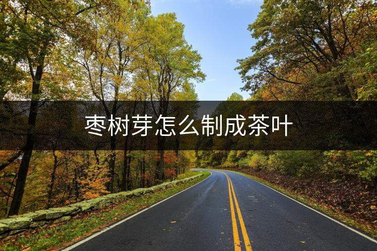 棗樹芽怎么制成茶葉 棗樹芽怎么制成茶葉